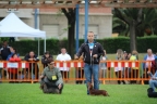 Int. Hondenshow Portugalete 2014 432